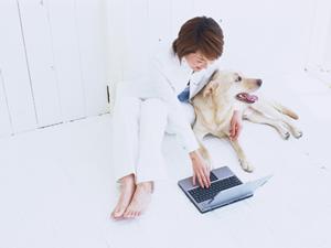 2025年版｜高級紅茶通販の極上セレクションと選び方ガイド