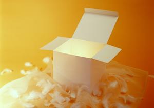 車両の安全性向上に貢献!最適な安全対策ステッカーの選び方